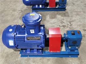 點(diǎn)火油泵-增壓燃油泵-DHB點(diǎn)火油泵