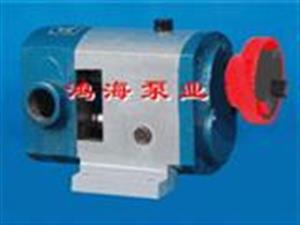 外潤(rùn)滑齒輪泵-涂料泵-不銹鋼外潤(rùn)滑齒輪泵