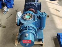 雙螺桿泵-螺桿泵-2LB雙螺桿泵