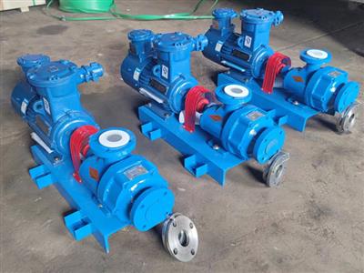 齒輪泵-真空泵-強(qiáng)排式齒輪泵