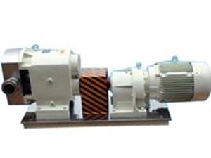 樹脂泵-糖蜜泵-稠油泵