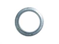 骨架油封-耐受高壓骨架油封