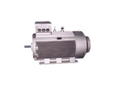 電機(jī)-大功率電機(jī)-低電壓大電機(jī)