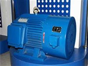 變頻調(diào)速電機(jī)-三相變頻調(diào)速電機(jī)