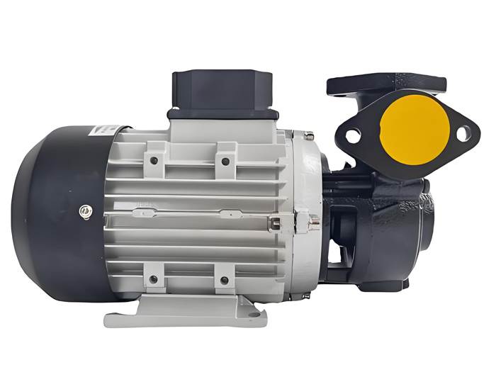 ys-15b-200高溫導(dǎo)熱油泵