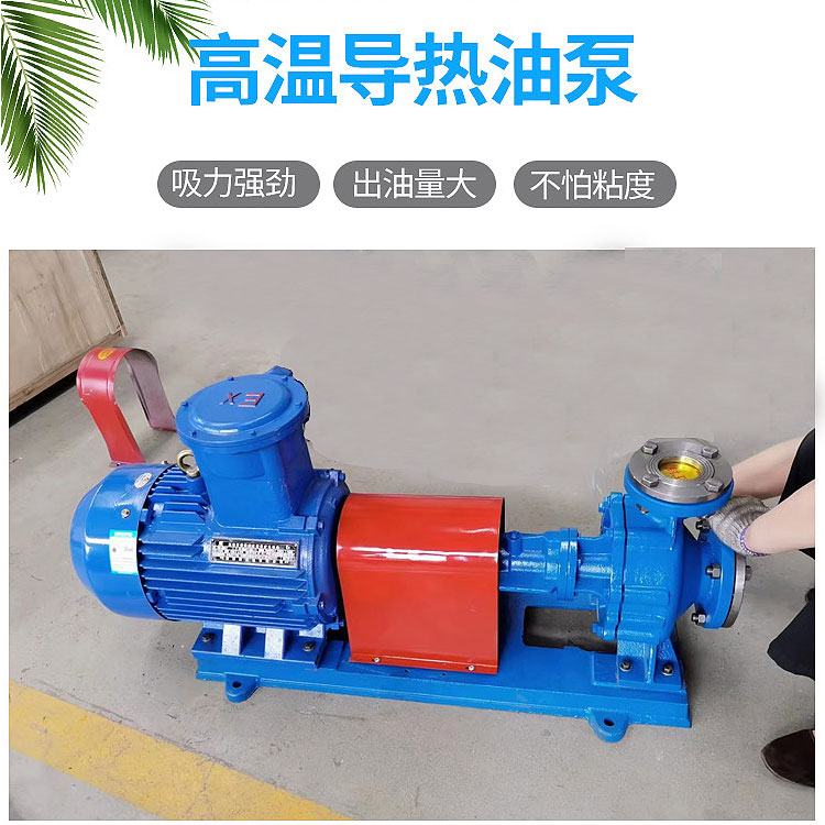 RY系列風(fēng)冷式高溫導(dǎo)熱油泵