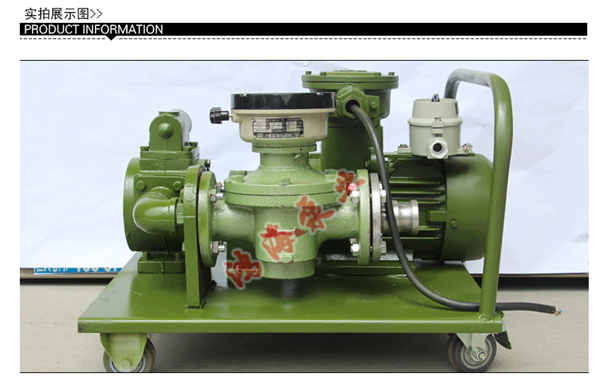防爆計(jì)量抽油泵