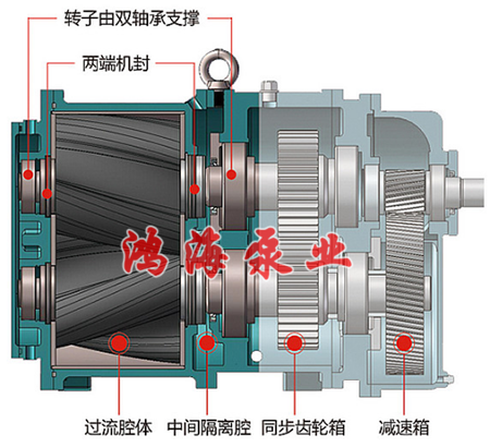泊頭市鴻海泵業(yè)HTLB凸輪轉(zhuǎn)子泵 / 無堵塞排污泵 / 高粘度轉(zhuǎn)子泵